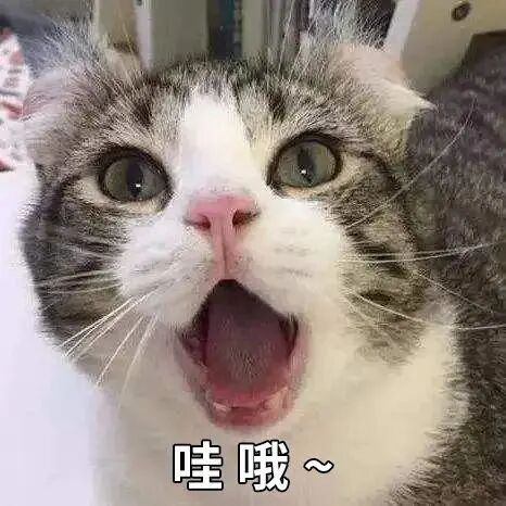 无忧配 8000㎡！顶层花园！中山八地块将大变样→