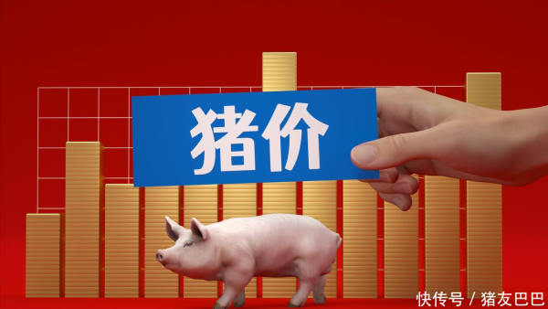 天源国际 涨了，涨了，猪价上涨“势如破竹”！附：10月15日猪价